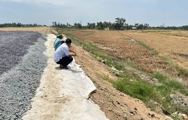 Ph&oacute; Thủ tướng chỉ đạo sớm đền b&ugrave; cho người d&acirc;n c&oacute; l&uacute;a chết cạnh cao tốc Cần Thơ - C&agrave; Mau - Ảnh 1.