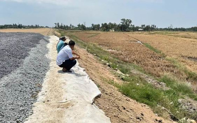 Lúa chết cạnh cao tốc Cần Thơ - Cà Mau, Phó Thủ tướng yêu cầu sớm đền bù
