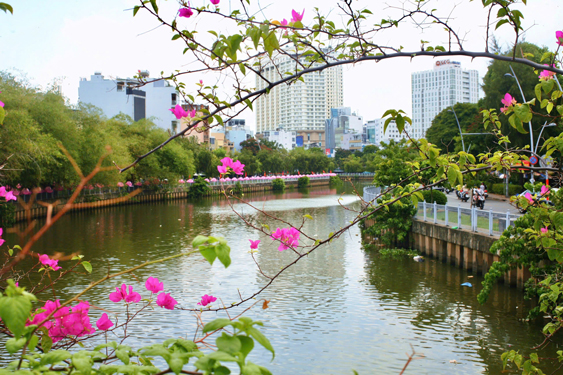 TP HCM XÂY DỰNG SIÊU ĐÔ THỊ XANH (*): Tạo không gian sống lý tưởng- Ảnh 4.
