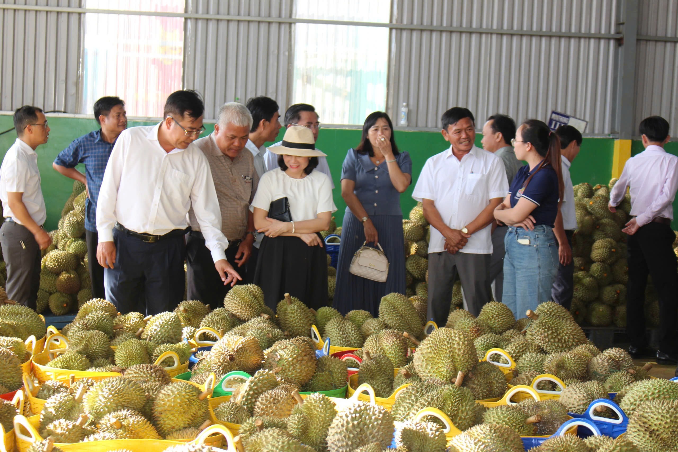 Phát triển sầu riêng trước yêu cầu cao của thị trường xuất khẩu- Ảnh 1.