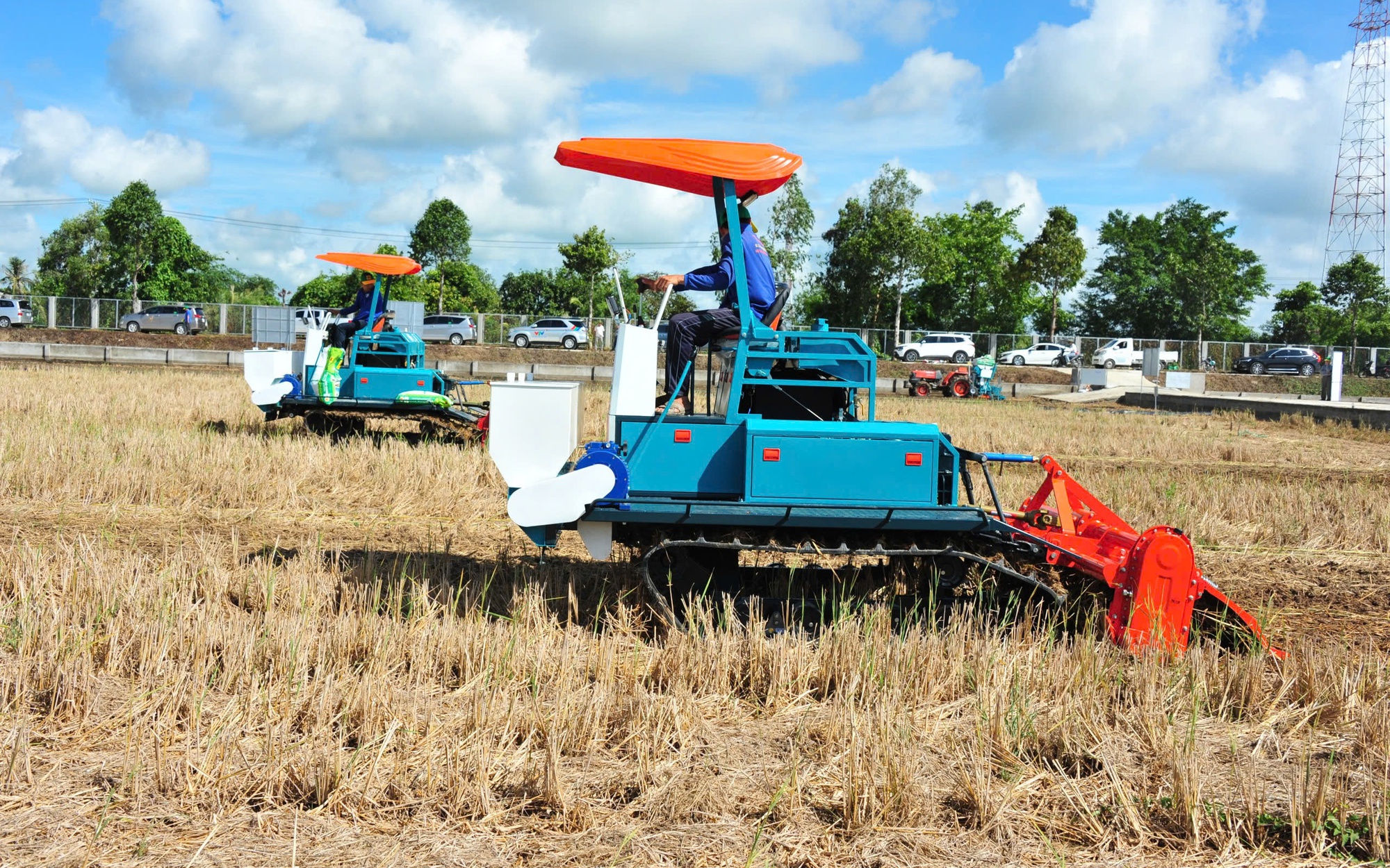 Bất ngờ sức hấp dẫn gạo Việt Nam ở thị trường Nhật Bản- Ảnh 2.