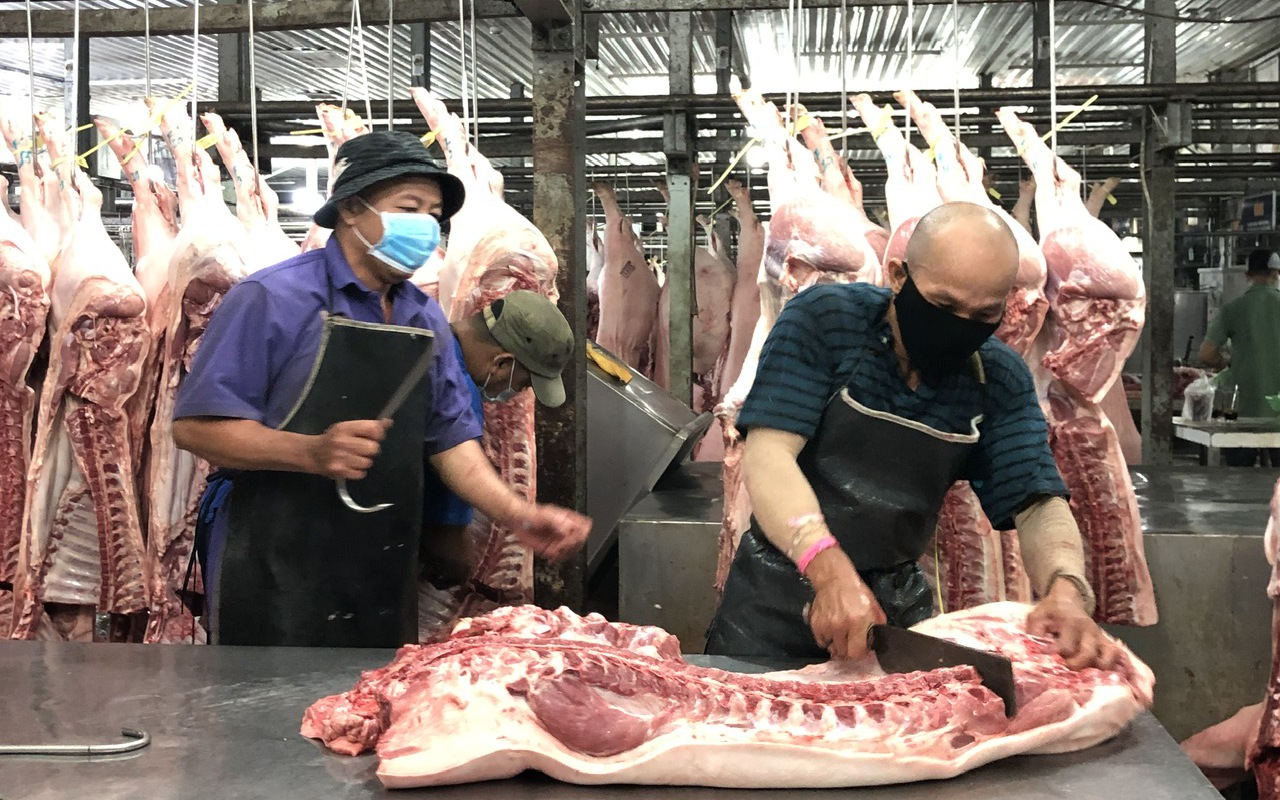 Giá heo hơi hôm nay 24-4: Miền Bắc tiếp tục giảm nhẹ, miền Nam giữ mức cao