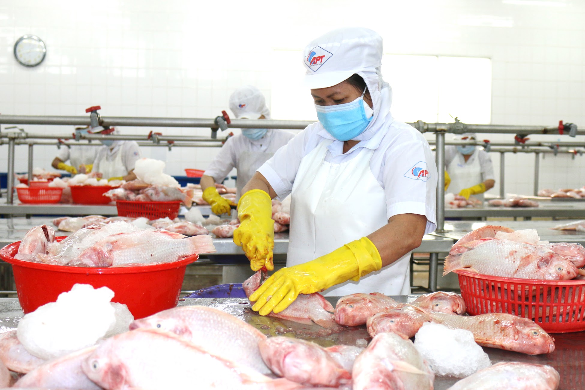 Lương tối thiểu &aacute;p dụng ra sao khi bỏ quận, huyện?- Ảnh 2.