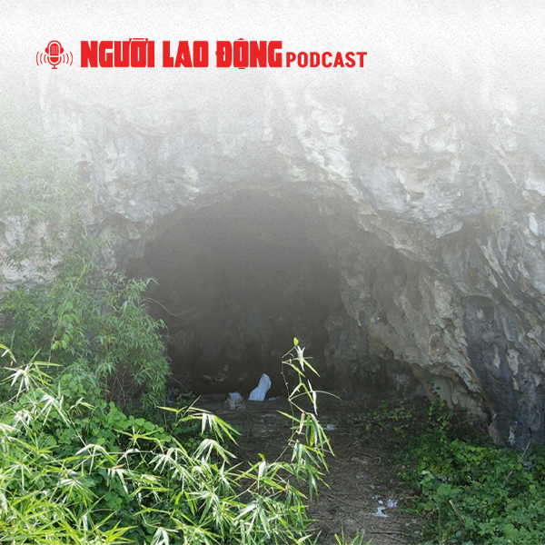 Nhận định ban đầu về các bộ xương người trong hang đá ở Nghệ An