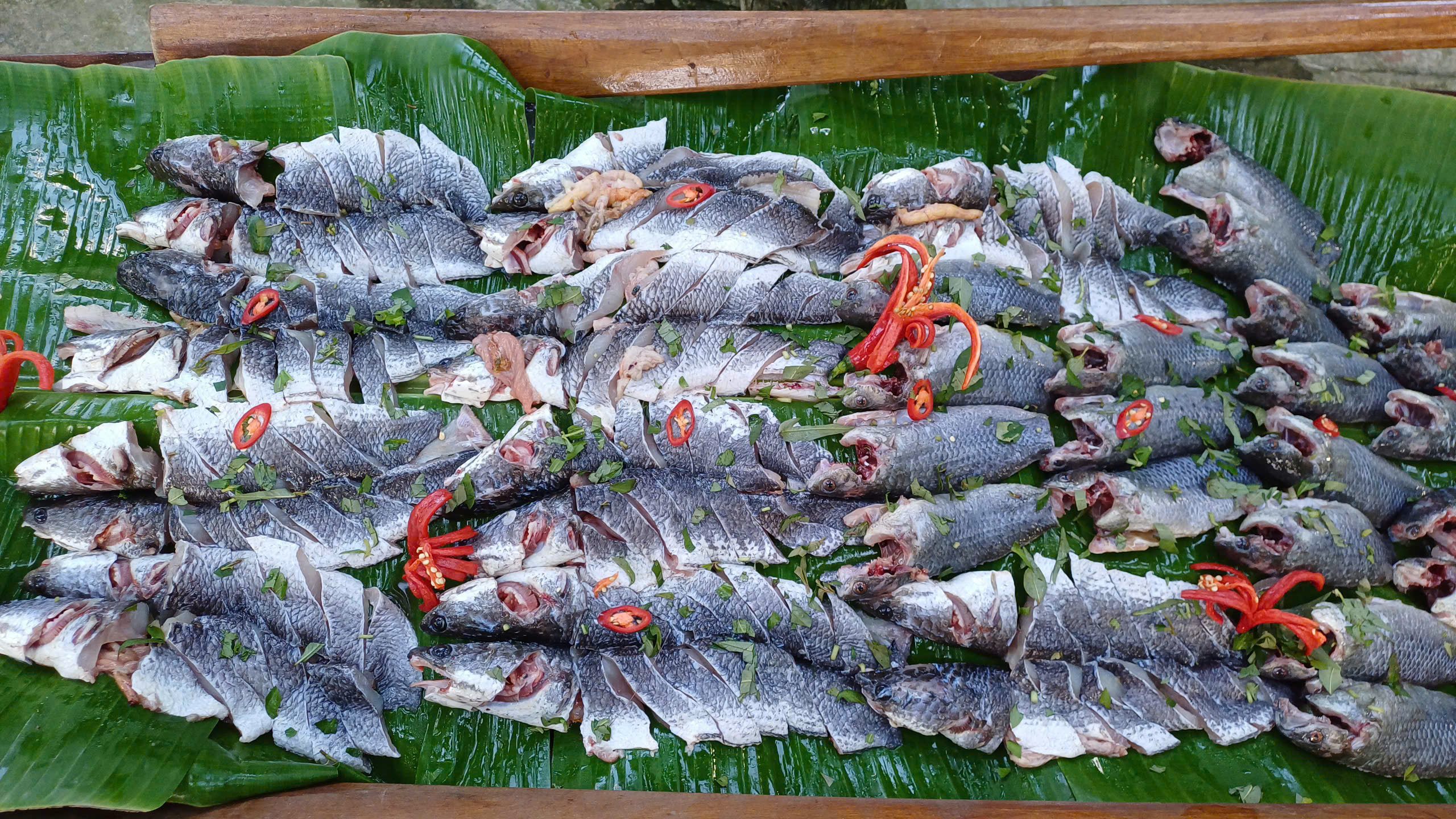 VIDEO: Tr&igrave;nh diễn chế biến lẩu mắm lớn nhất Việt Nam tại U Minh Hạ - Ảnh 6.