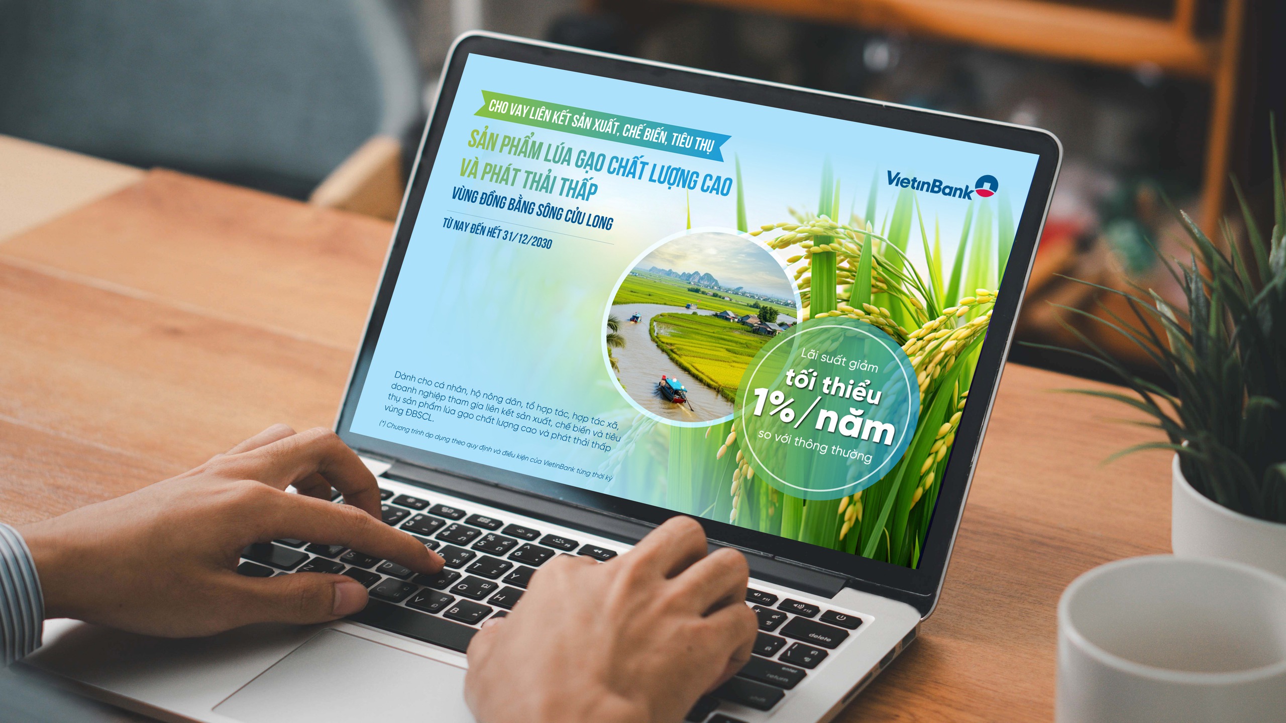 VietinBank cho vay ưu đ&atilde;i, ph&aacute;t triển n&ocirc;ng nghiệp Đồng bằng s&ocirc;ng Cửu Long- Ảnh 2.
