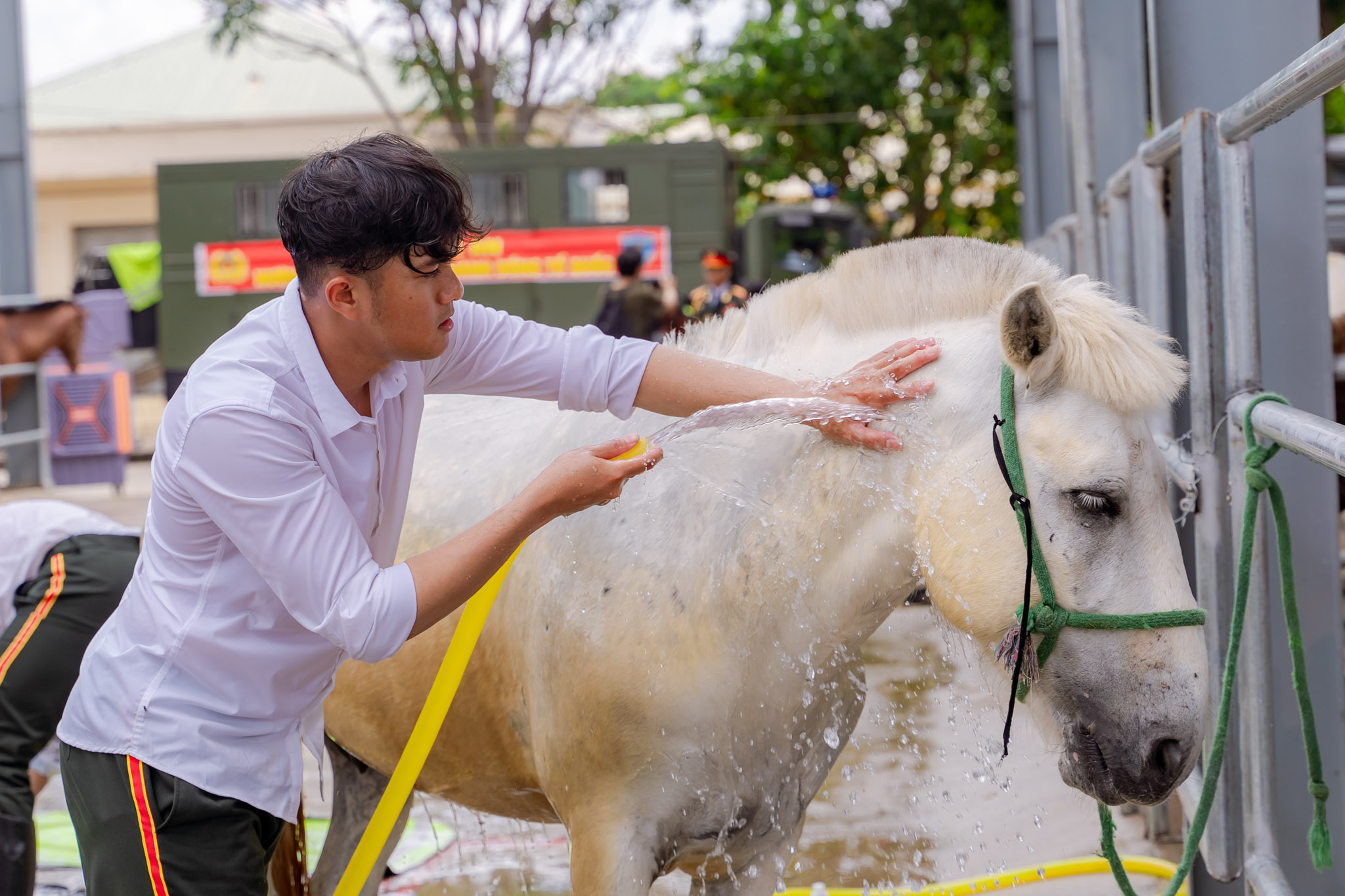 VIDEO: Câu chuyện về những chàng kỵ binh và “idol giới trẻ” Út Ngáo trước giờ diễu binh, diễu hành - Ảnh 7.