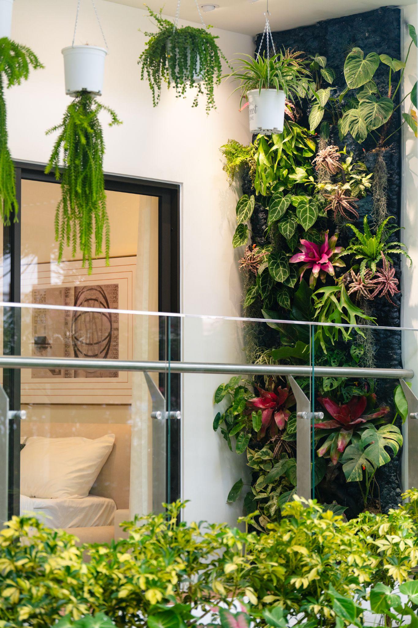 The Infinity Dĩ An khai trương căn hộ mẫu theo phong c&aacute;ch wellness - Ảnh 2.
