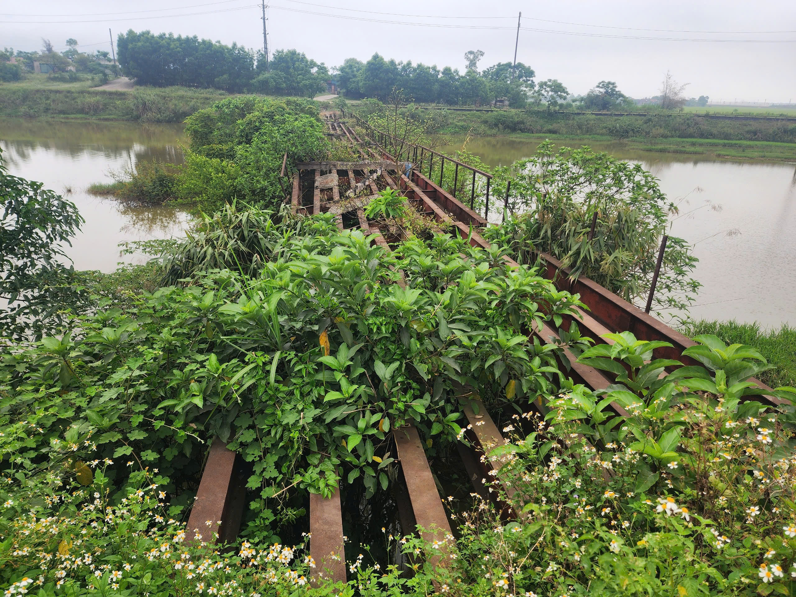&Aacute;m ảnh 2 c&acirc;y cầu sắt bị bỏ hoang, xuống cấp trầm trọng tr&ecirc;n tuyến k&ecirc;nh tho&aacute;t lũ- Ảnh 7.