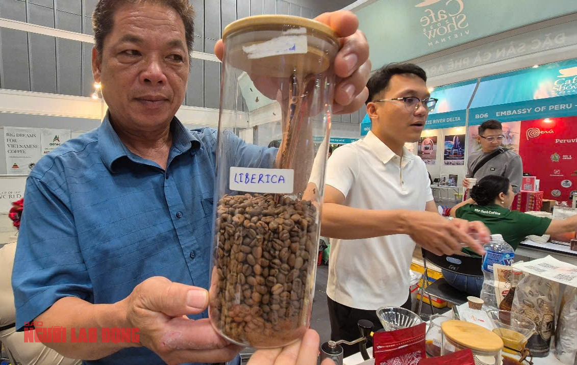 Giá cà phê hôm nay 27-4: Cà phê "bờ rào" bất ngờ vượt mặt Arabica!- Ảnh 1.