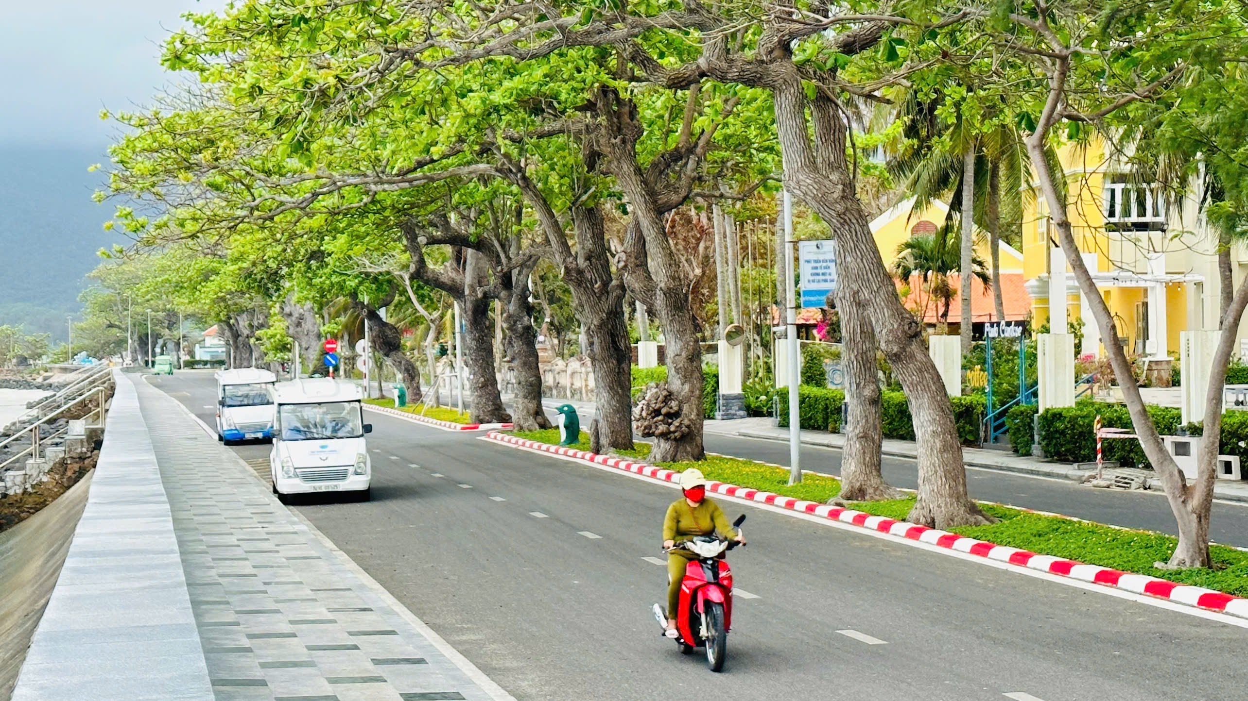 Về nơi lửa thử vàng...- Ảnh 2.