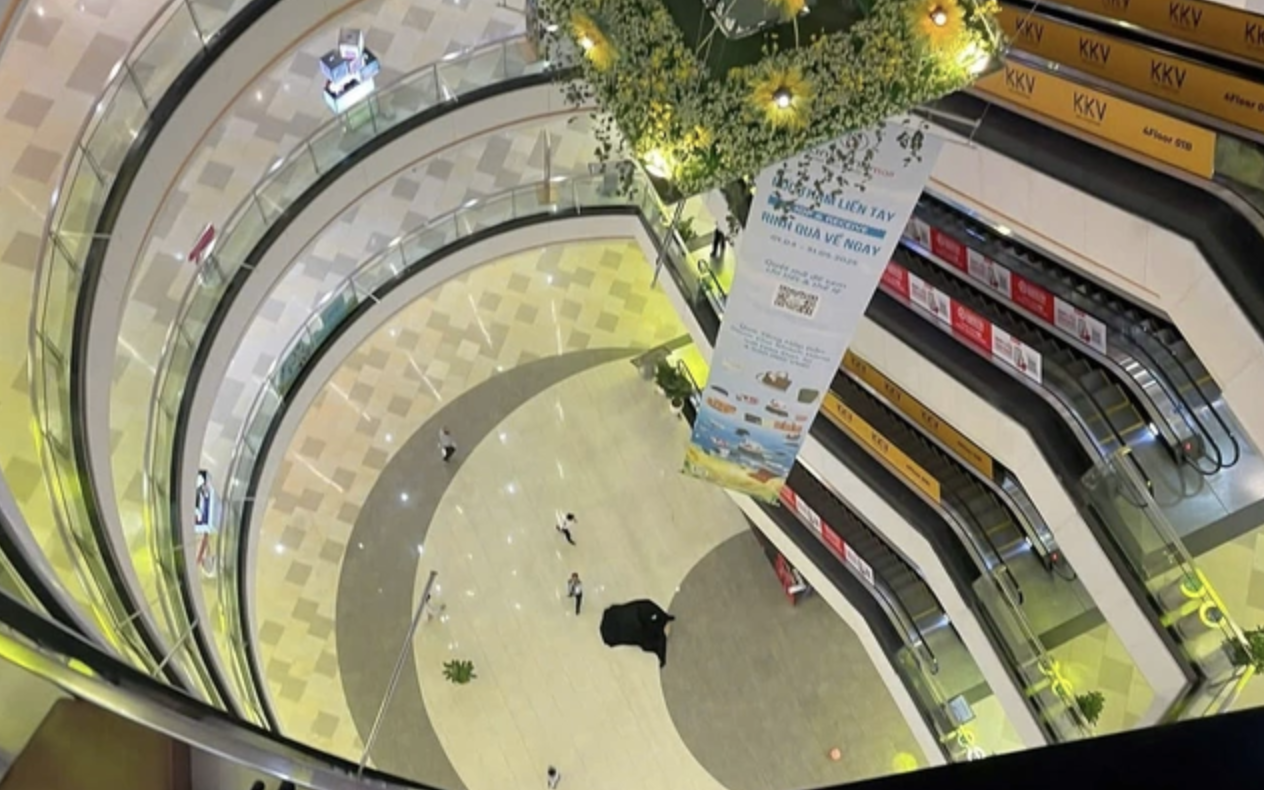 Hãy ngưng miệt thị người "rơi lầu" tại Vạn Hạnh Mall