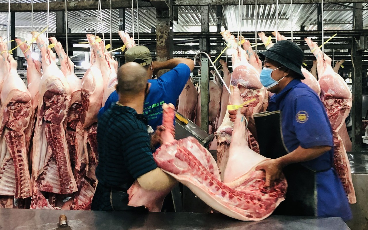 Giá heo hơi hôm nay 28-4: xu hướng ổn định, miền Nam giảm nhiệt