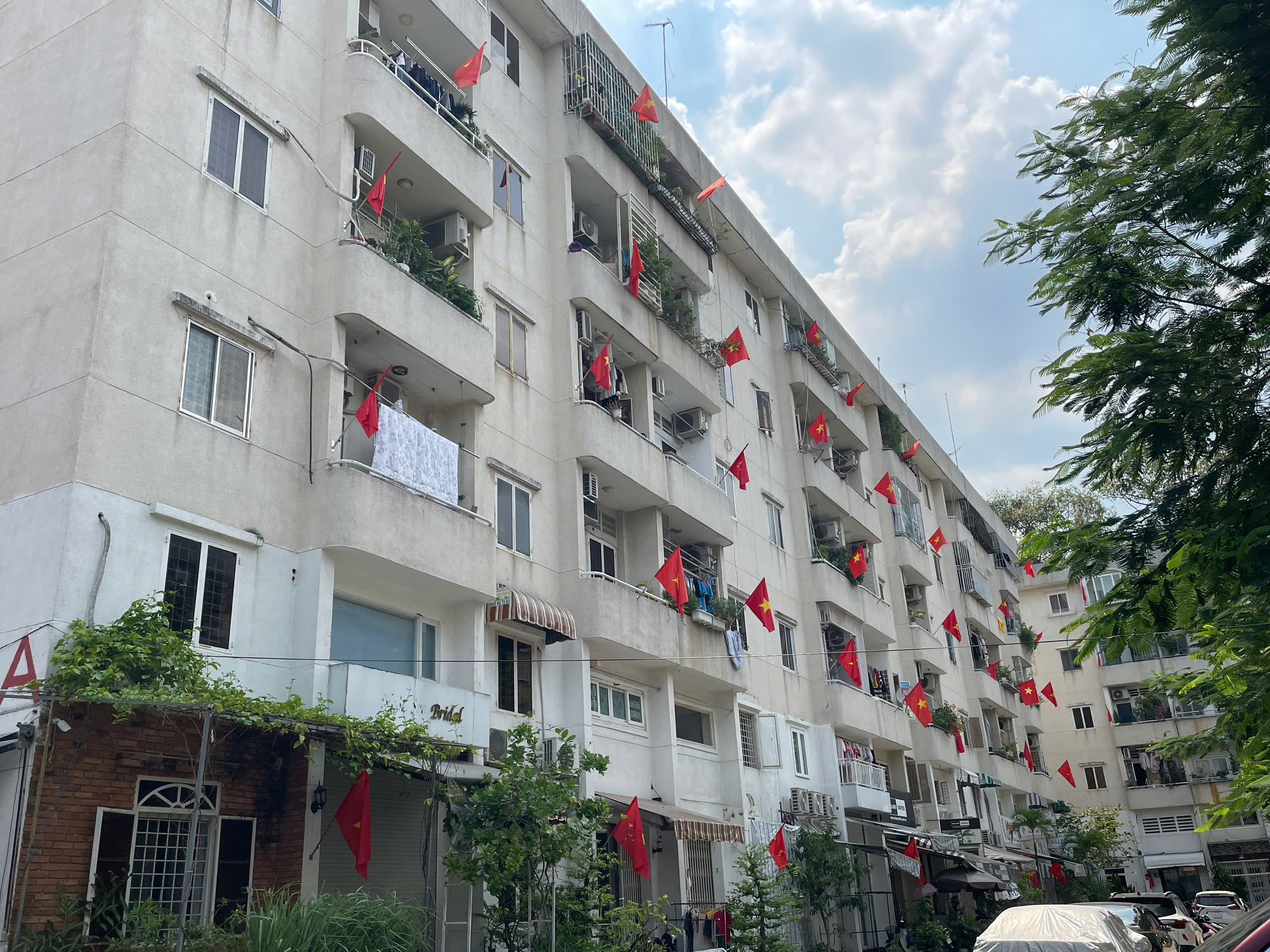 TP HCM: Phố phường rực rỡ cờ Tổ quốc- Ảnh 2.