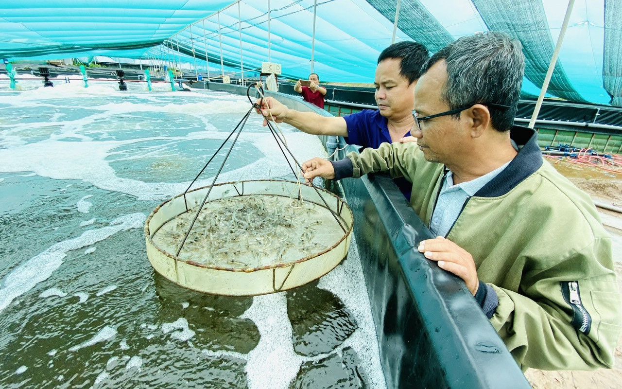 Nuôi tôm thân thiện với môi trường