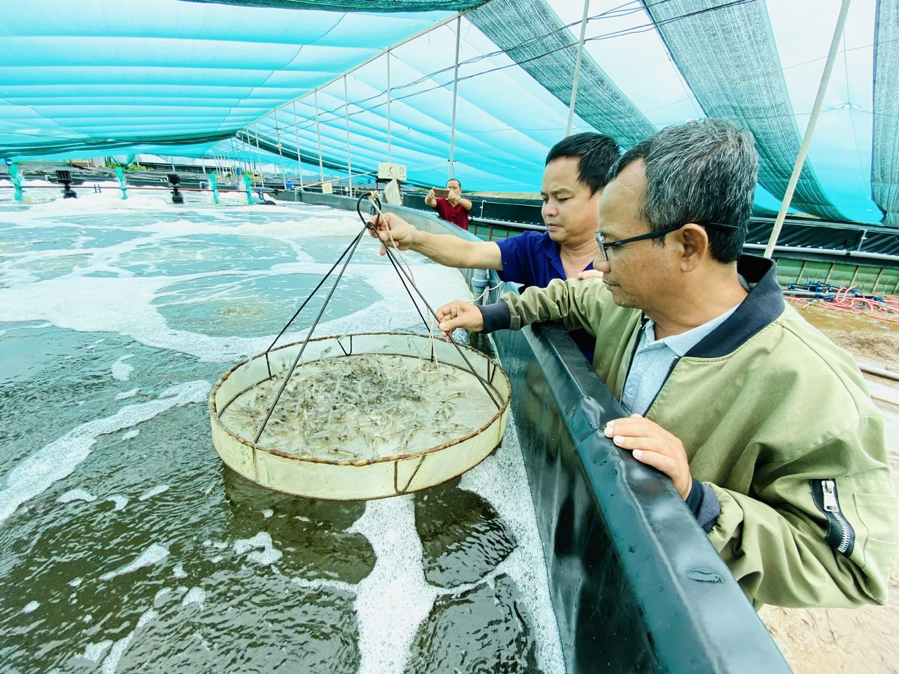 Nu&ocirc;i t&ocirc;m th&acirc;n thiện với m&ocirc;i trường- Ảnh 2.