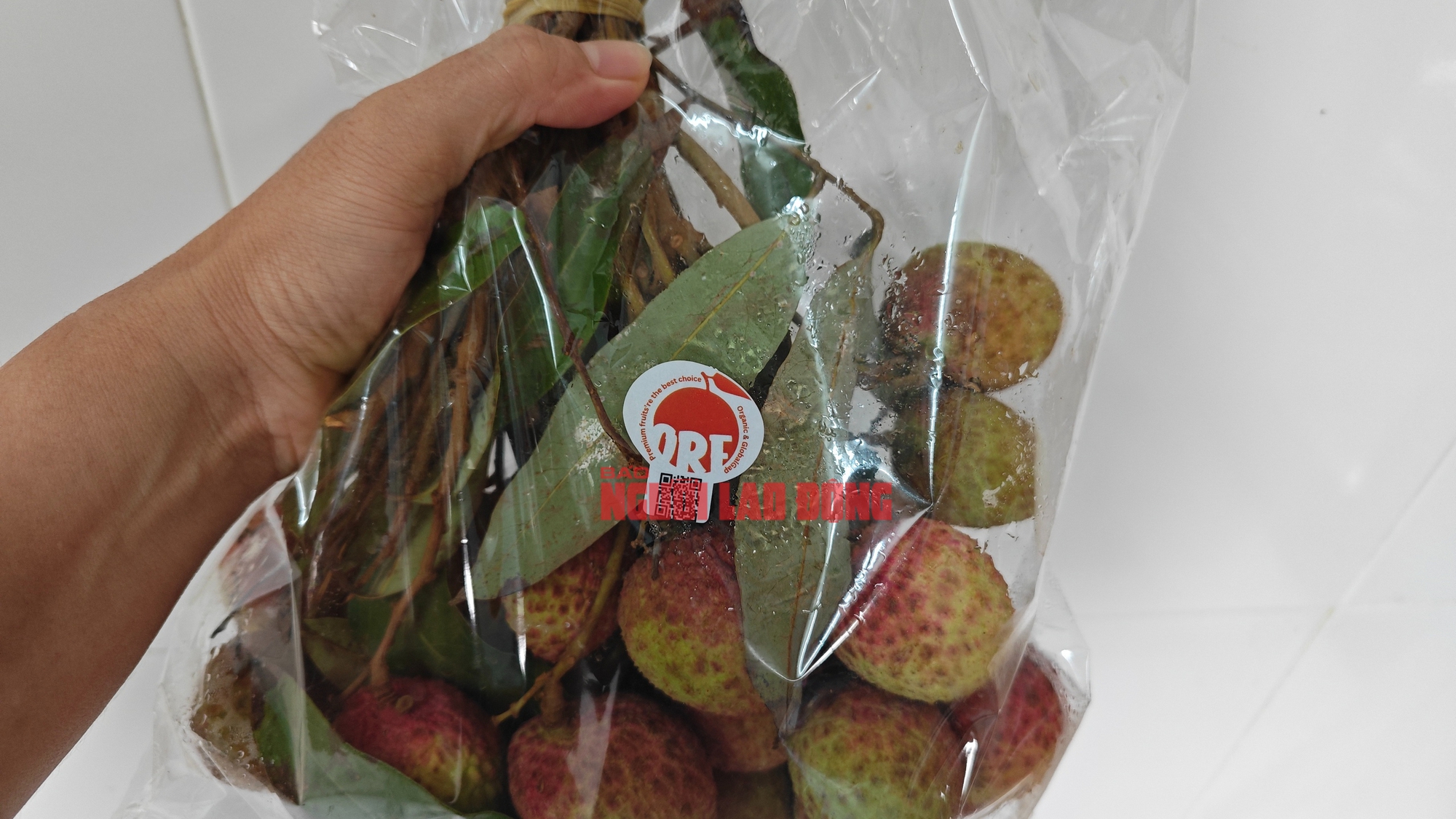 Vải Tây Nguyên đầu mùa giá cao đến khó tin- Ảnh 3.