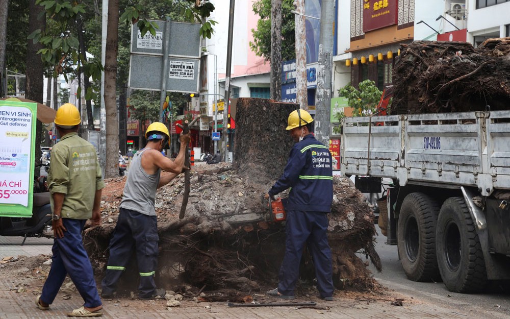 Chấn chỉnh thi công vỉa hè, bảo vệ cây xanh
