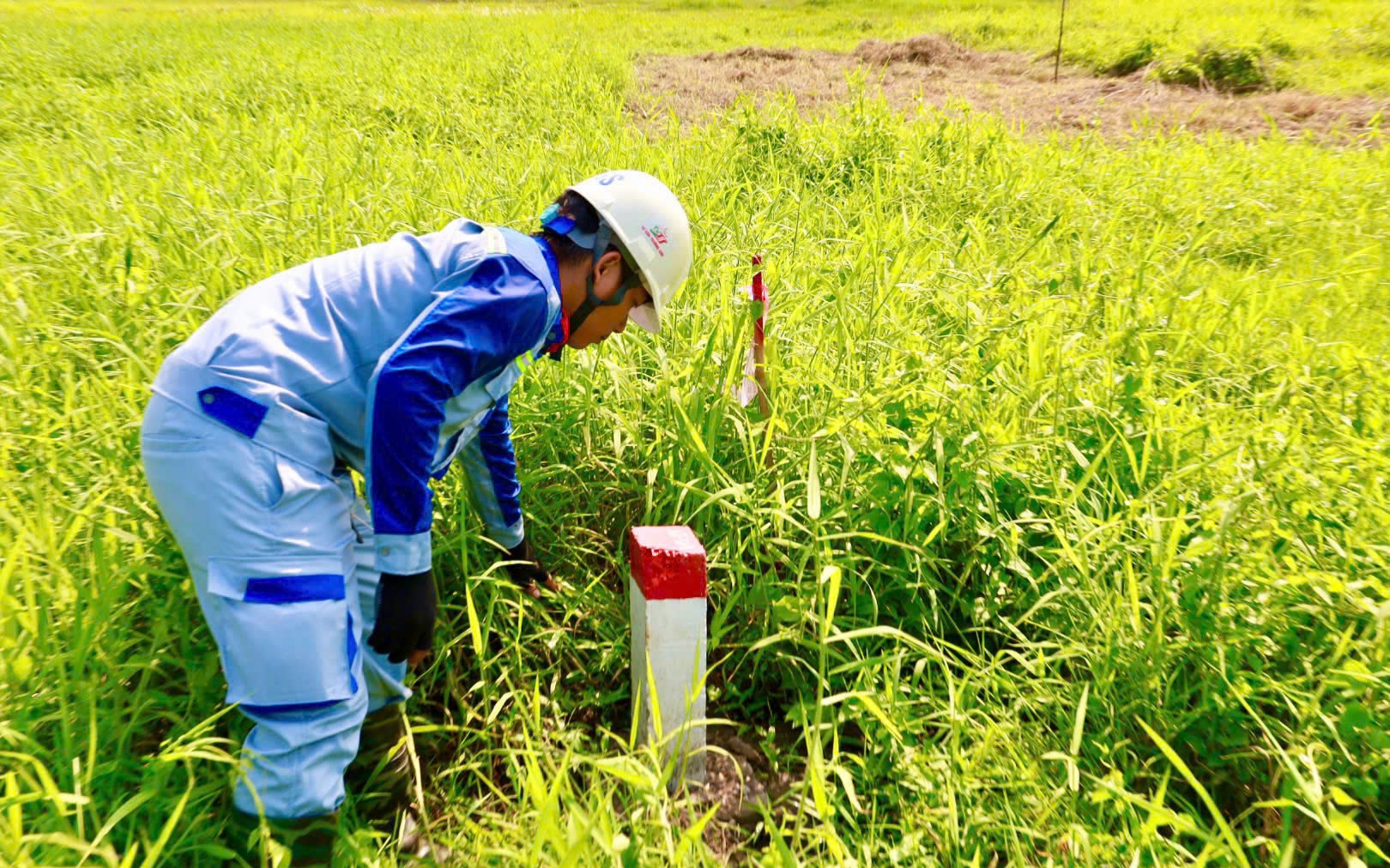 Gấp rút công bố ranh các dự án giao thông trọng điểm trước ngày 1-7