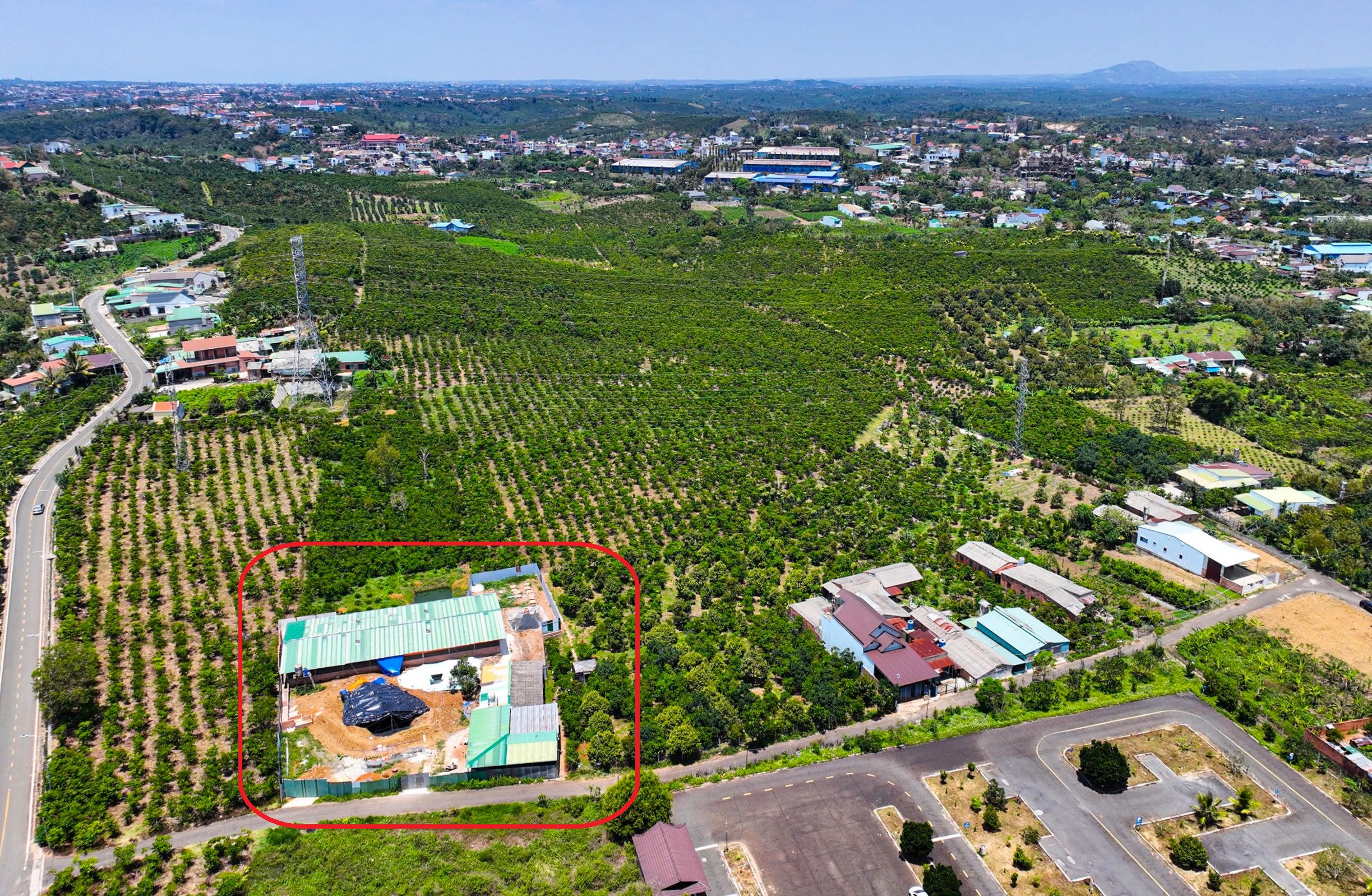 Người dân Bảo Lộc kêu trời vì trại heo bốc mùi kinh khủng trong khu dân cư- Ảnh 1.