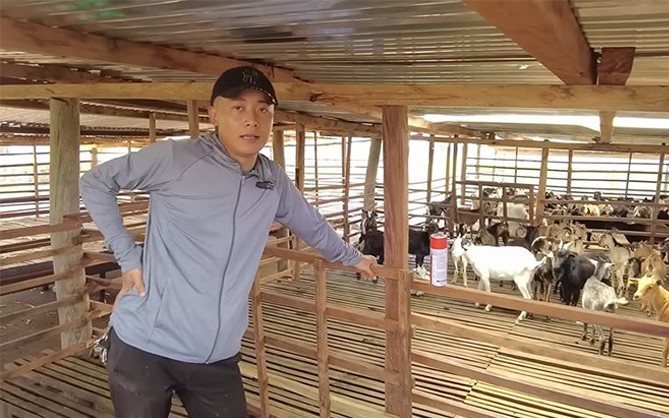 Quang Linh Vlogs tham gia vào những doanh nghiệp nào trước khi hào quang vụt tắt?