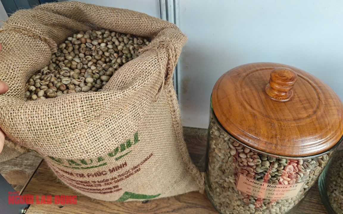 Giá cà phê hôm nay 6-4: Sẽ “sụp” đến khi nào?