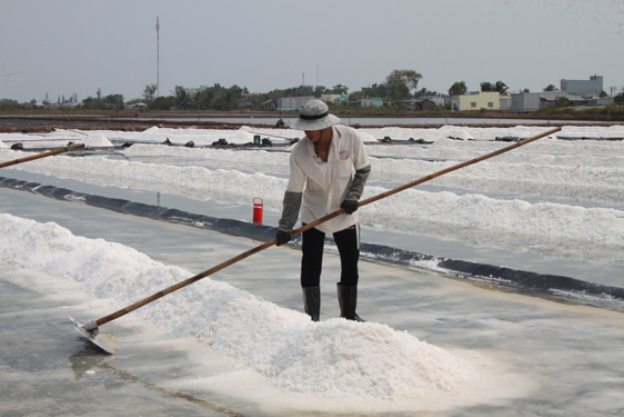 Gi&aacute; muối tăng 3 th&aacute;ng qua đ&atilde; tiếp th&ecirc;m động lực cho di&ecirc;m d&acirc;nẢnh: V&Acirc;N DU