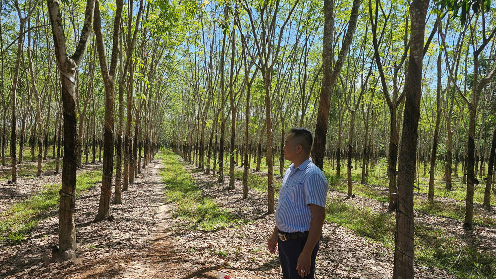 &Ocirc;ng Phạm Minh Sơn (ngụ thị x&atilde; Chơn Th&agrave;nh, tỉnh B&igrave;nh Phước) b&ecirc;n đất của gia đ&igrave;nh đ&atilde; b&agrave;n giao cho địa phương l&agrave;m dự &aacute;n đường cao tốc TP HCM - Thủ Dầu Một - Chơn Th&agrave;nh