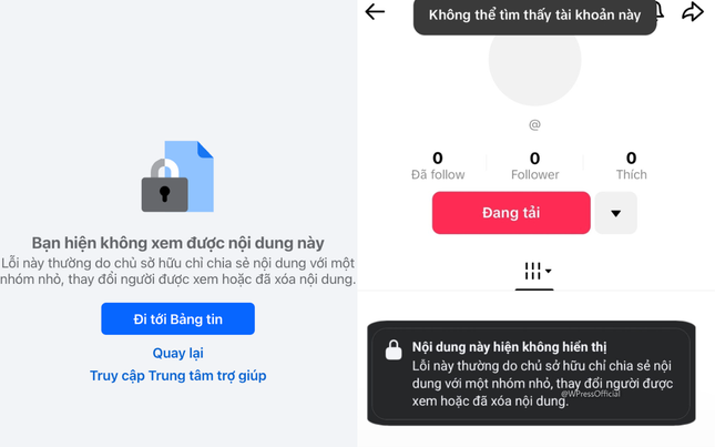 Thực hư thông tin hoa hậu Thùy Tiên "biến mất" trên mạng xã hội- Ảnh 4.