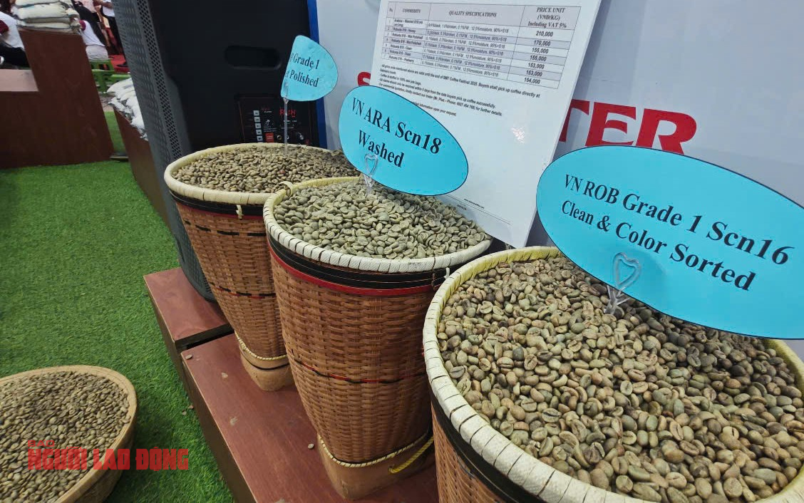 Giá cà phê hôm nay 9-4: Ba lần sụp giá- Ảnh 1.