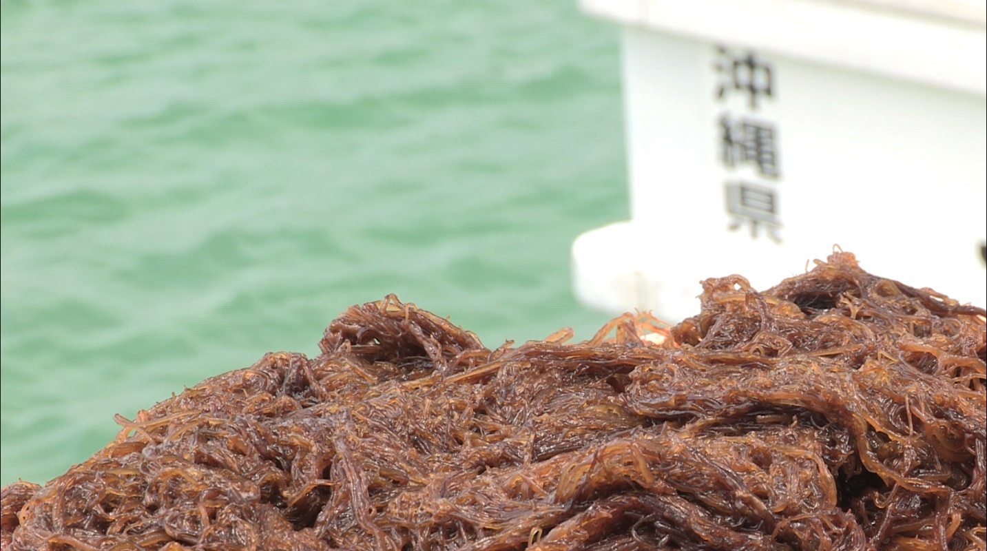 A pile of brown food  Description automatically generated