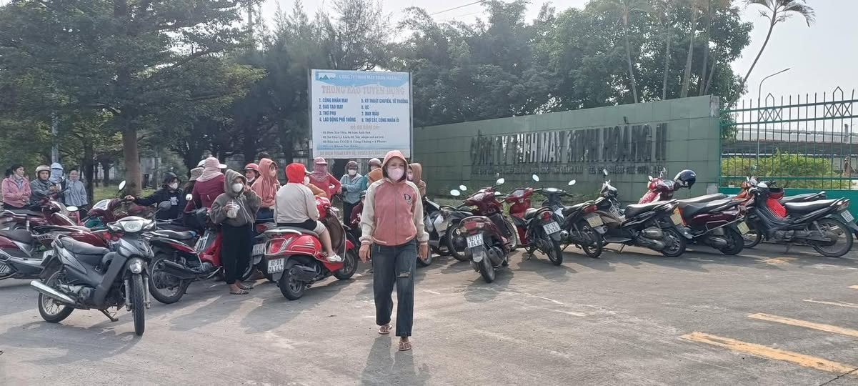 Công nhân "khóc ròng" vì doanh nghiệp nợ BHXH: Không liên lạc được với giám đốc công ty- Ảnh 1.