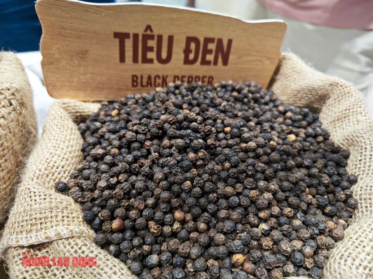 Giá tiêu hôm nay 9-4: Giảm mạnh, doanh nghiệp lo mất thanh khoản- Ảnh 1.