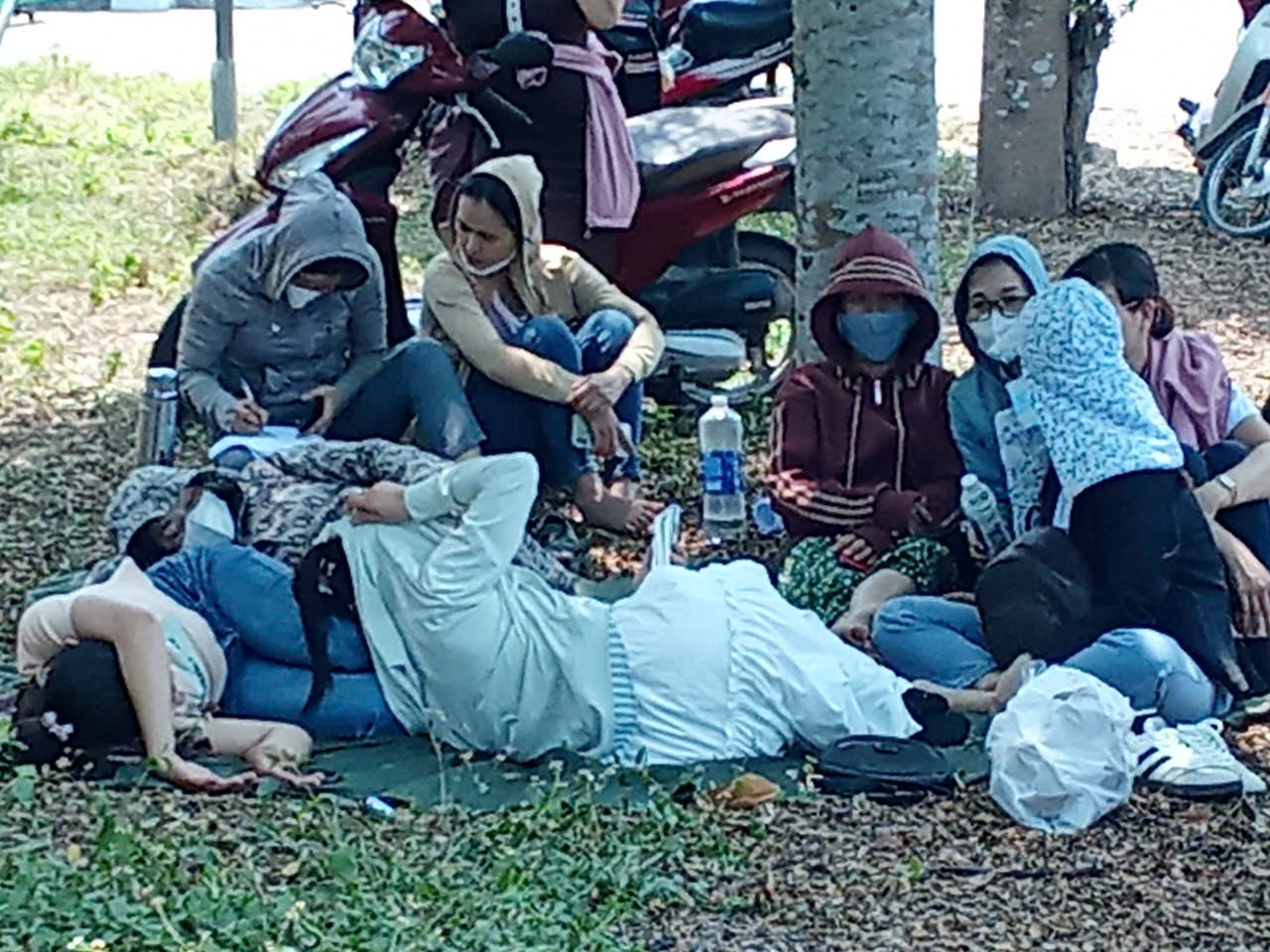 Công nhân "khóc ròng" vì doanh nghiệp nợ BHXH: Không liên lạc được với giám đốc công ty- Ảnh 3.