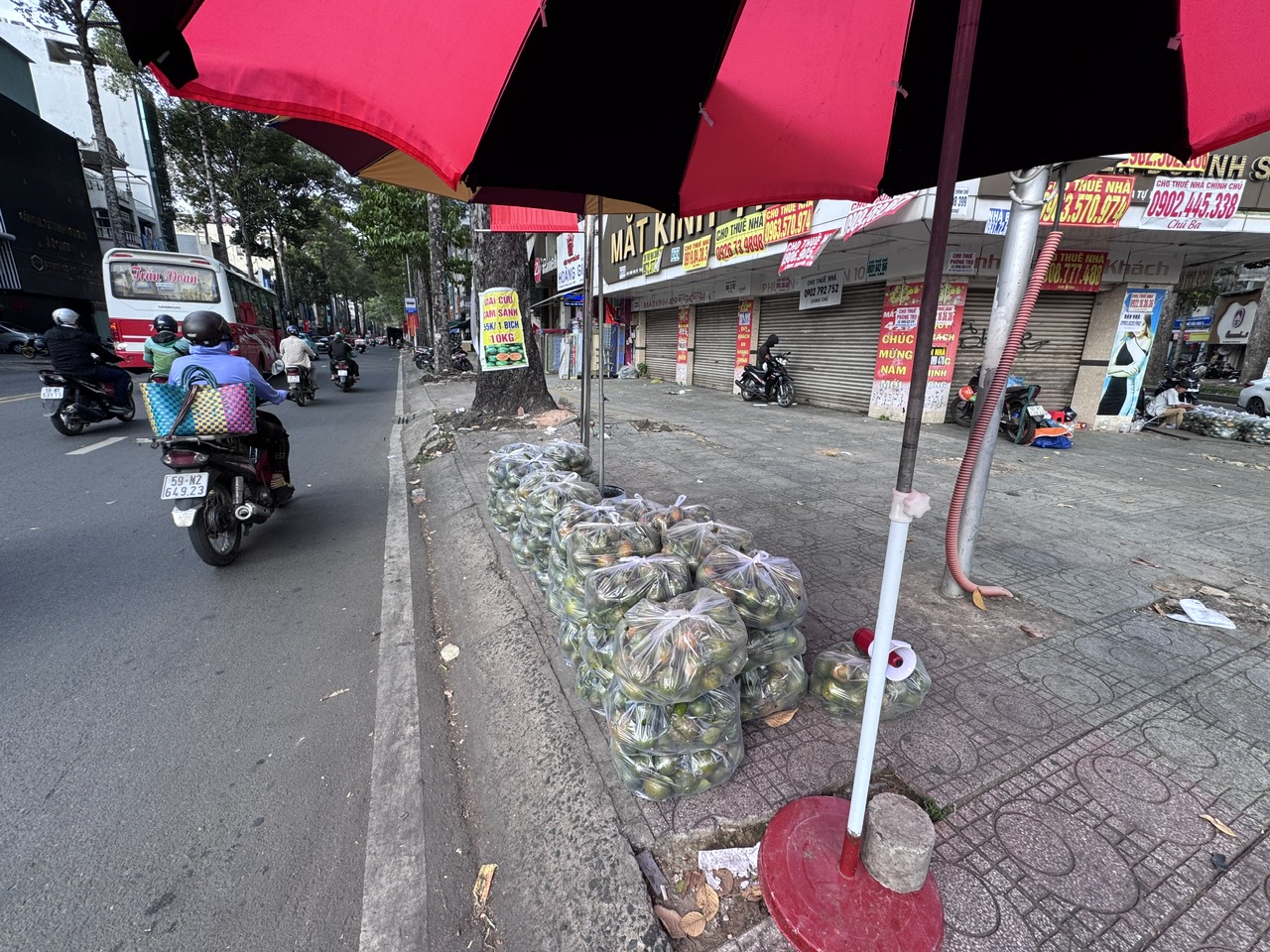 Nắng n&oacute;ng, cam s&agrave;nh giải cứu tăng gi&aacute; - Ảnh 1.