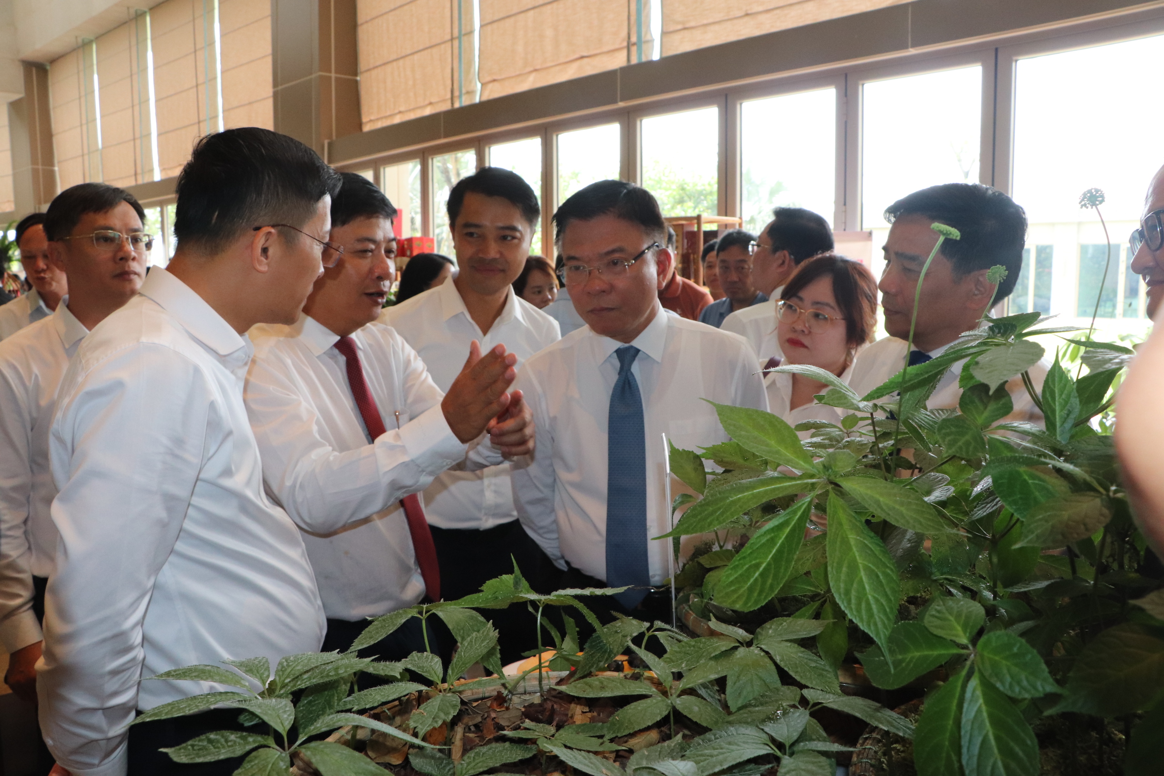 Phó Thủ tướng: Chung sức làm lớn, nhìn xa để đưa ngành dược liệu vươn tầm- Ảnh 1.
