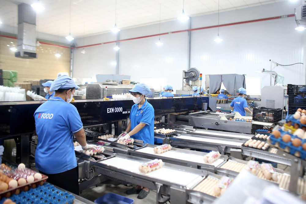 Tạo xung lực phát triển kinh tế tư nhân- Ảnh 1.