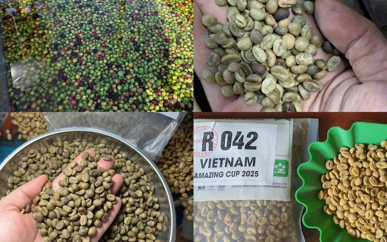Giá cà phê hôm nay 12-5: Dân mạng “dậy sóng” về cà phê đặc sản
