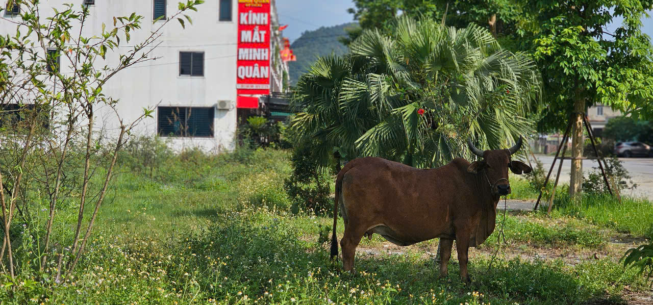 Cận cảnh khu đ&ocirc; thị hơn 1.400 tỉ đồng qu&aacute; hạn tiến độ 6 năm vẫn chưa ho&agrave;n th&agrave;nh - Ảnh 16.