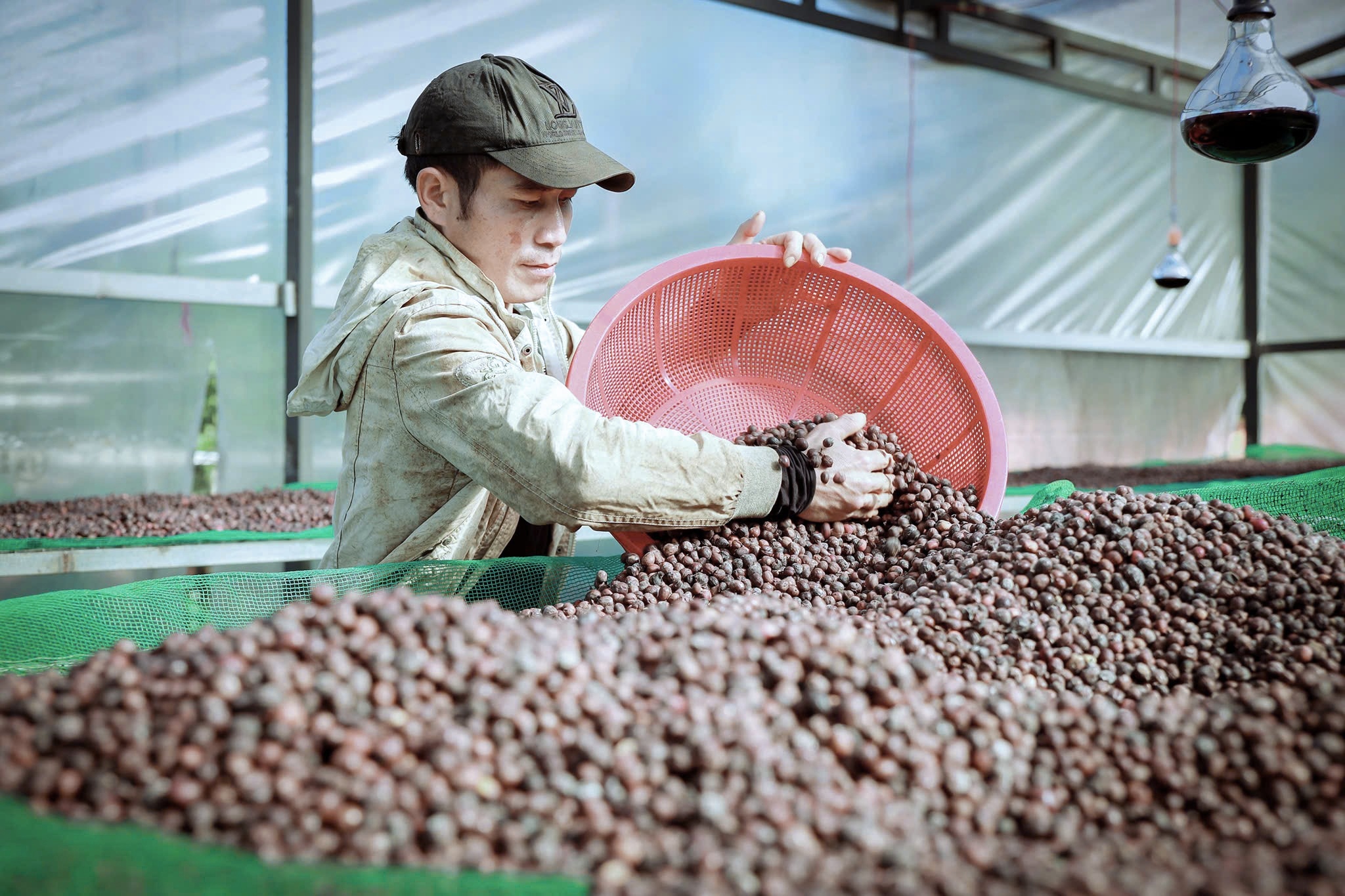 Giữ vị thế cho c&agrave; ph&ecirc; Việt (*): Đầu tư v&agrave;o nội lực- Ảnh 1.