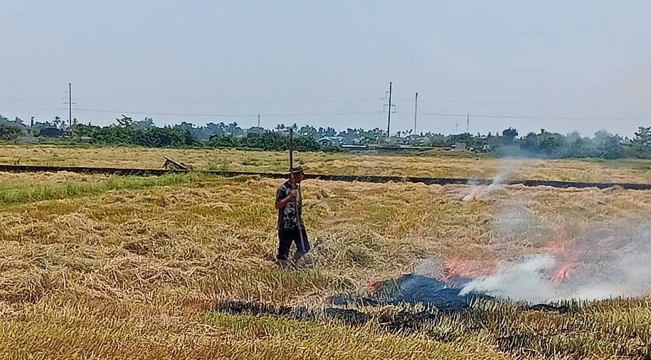Đốt rơm rạ, một n&ocirc;ng d&acirc;n nhận c&aacute;i kết "đắng" v&igrave; bỏ chạy- Ảnh 2.