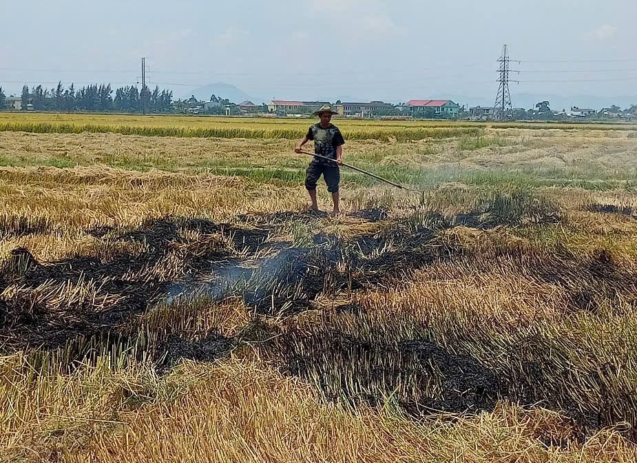 Đốt rơm rạ, một n&ocirc;ng d&acirc;n nhận c&aacute;i kết "đắng" v&igrave; bỏ chạy- Ảnh 1.
