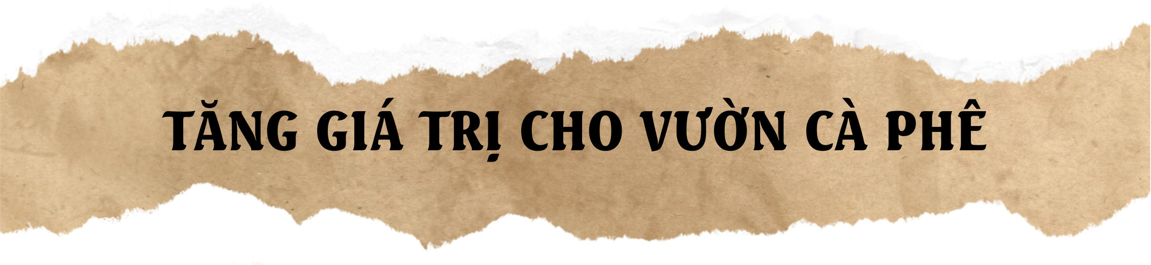 Giữ vị thế cho cà phê Việt: Đầu tư vào nội lực- Ảnh 1.