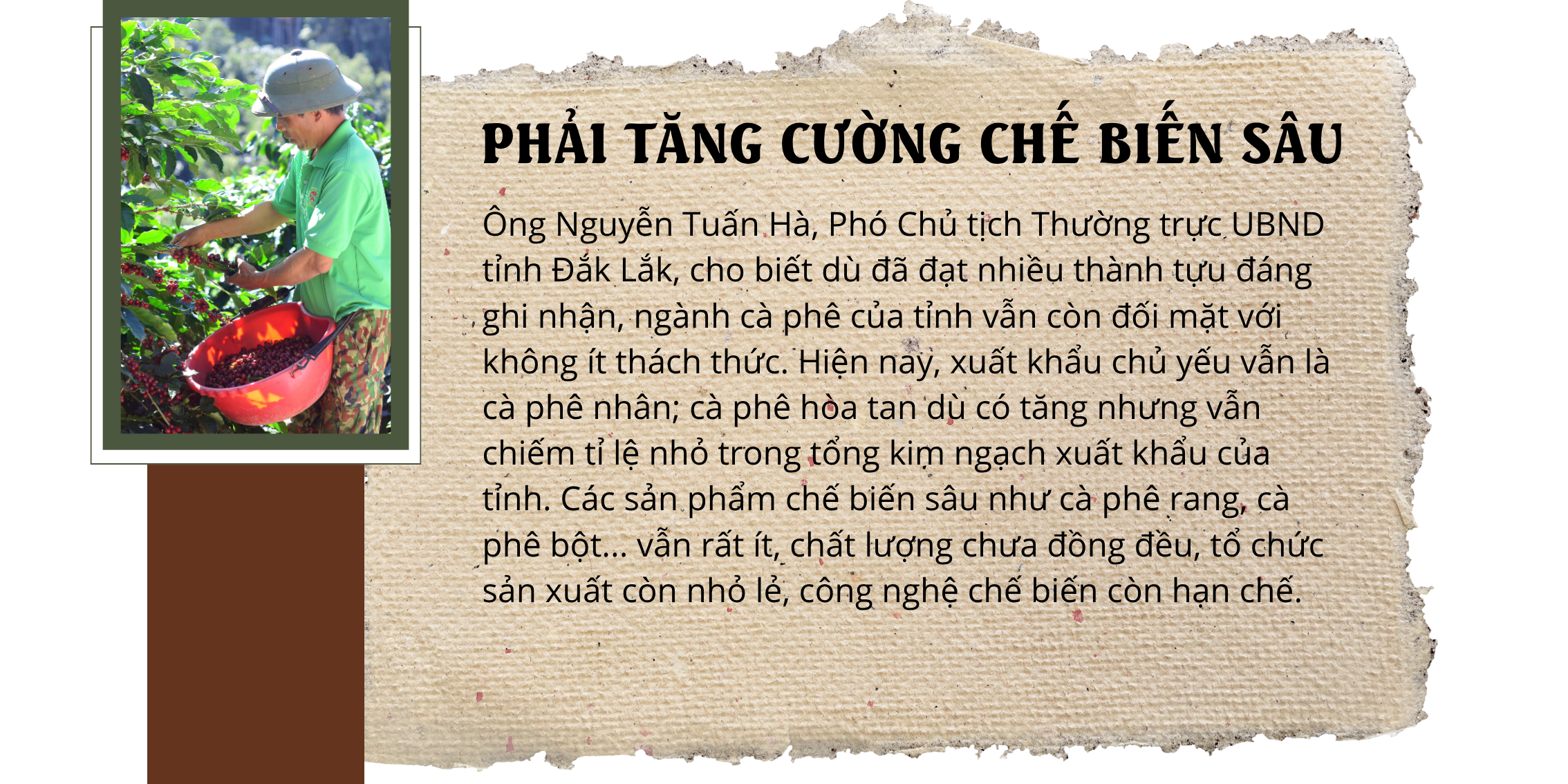 Giữ vị thế cho cà phê Việt: Đầu tư vào nội lực- Ảnh 9.