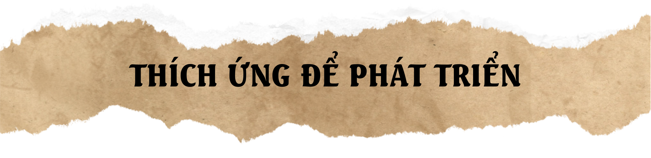 Giữ vị thế cho cà phê Việt: Đầu tư vào nội lực- Ảnh 6.