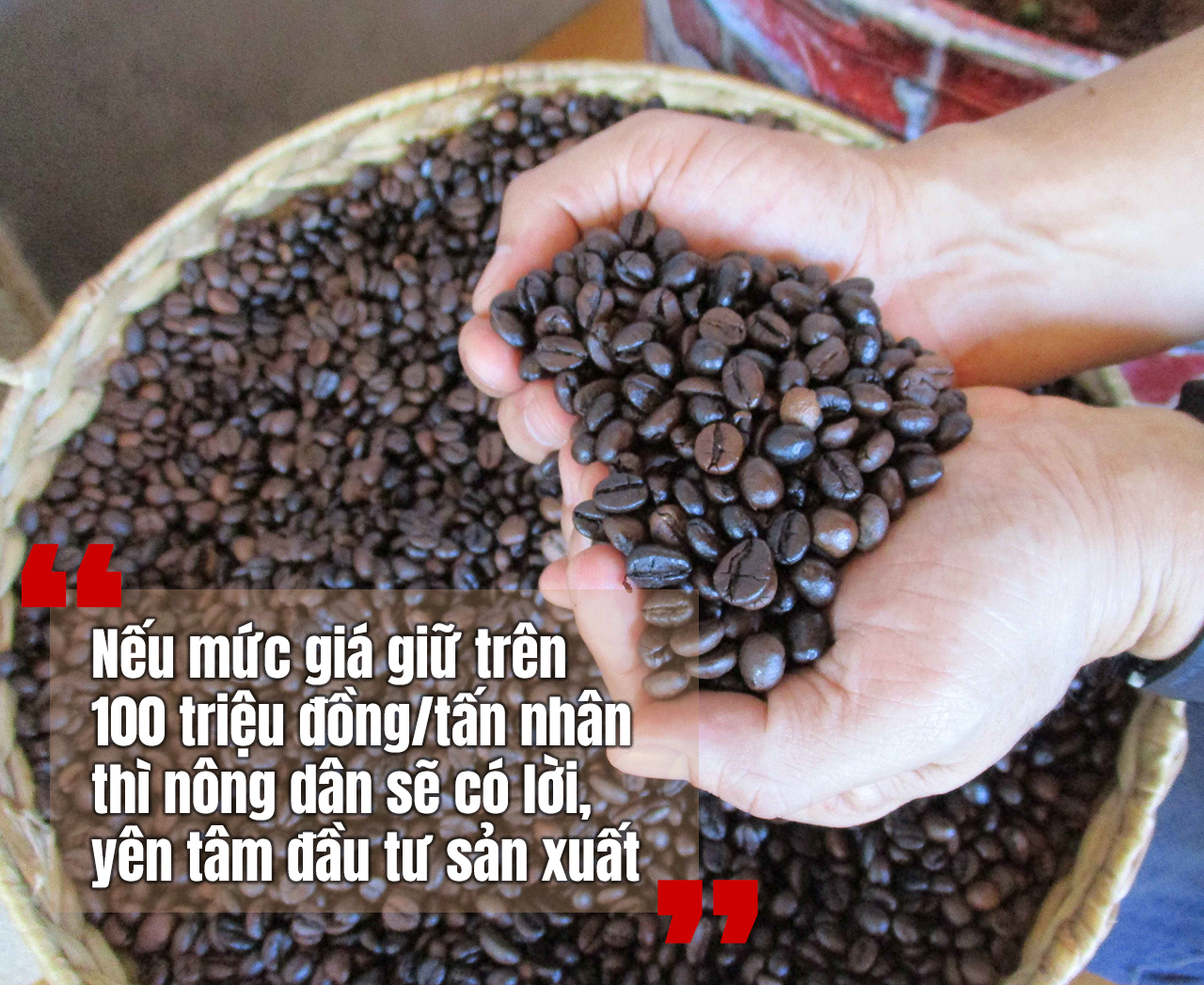 Giữ vị thế cho cà phê Việt: Xuất khẩu lập kỷ lục nhưng chưa bền - Ảnh 7.