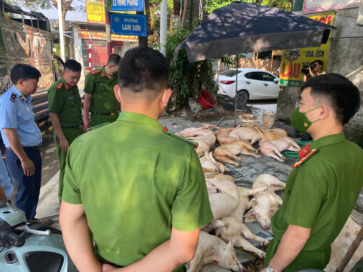 Thực phẩm giả tràn lan: Ai chịu trách nhiệm?- Ảnh 1.