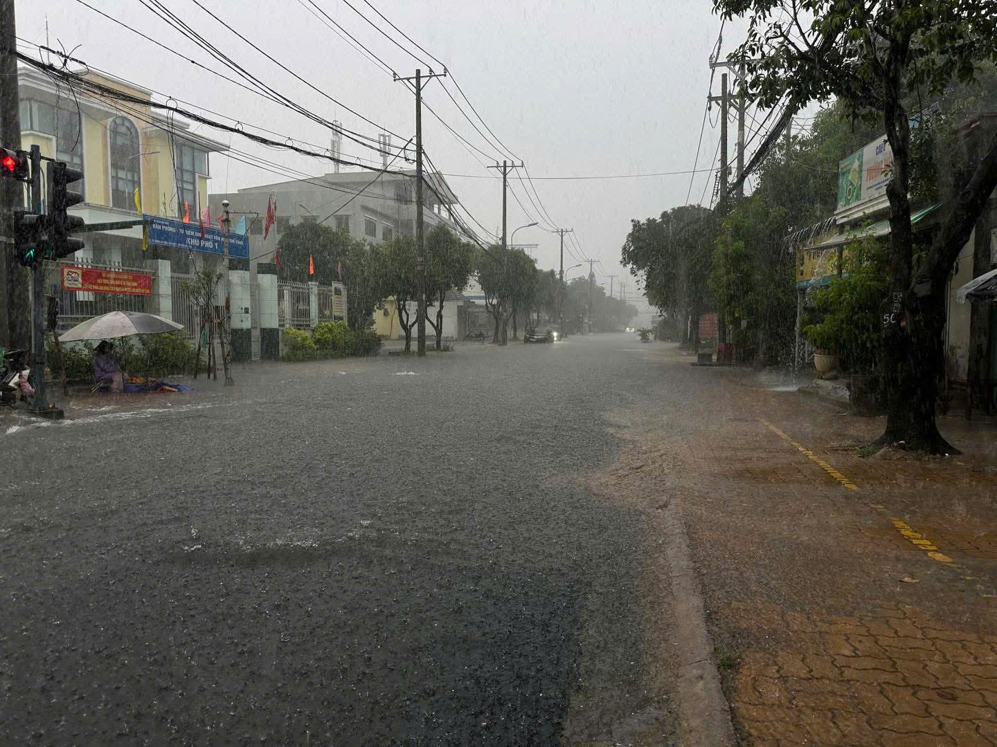 Chiều nay, nhiều nơi ở TP HCM mưa như trút nước, có nơi đã ngập cục bộ - Ảnh 1.