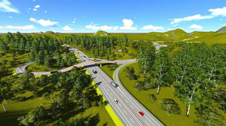 Đề xuất hơn 43.700 tỉ đồng làm cao tốc Quy Nhơn – Pleiku - Ảnh 1.