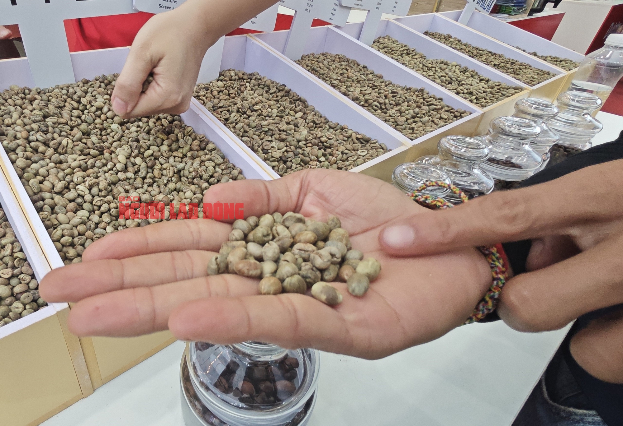Gi&aacute; c&agrave; ph&ecirc; h&ocirc;m nay 16-5: Mất mốc quan trọng - Ảnh 1.